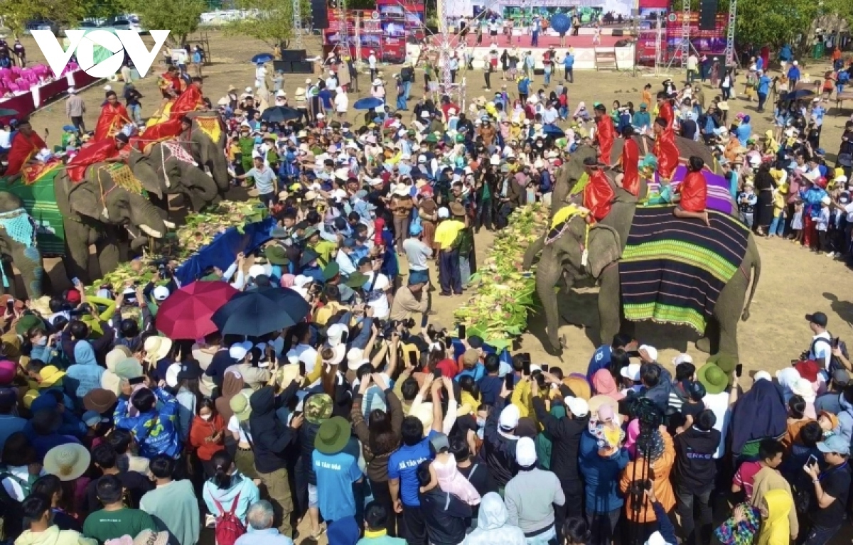 The eighth version of the coffee festival this year marks the biggest of its kind, duly attracting more than 90,000 visitors, including 600 foreigners.