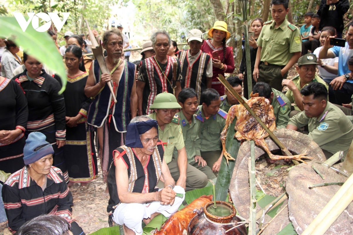A shaman performs the forest worship ceremony.