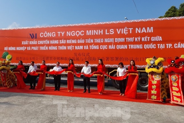 Delegates cut the ribbons marking the export of first batch of of durians to the Chinese market (Photo: tienphong.vn)