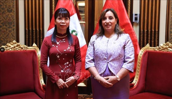 President Dina Boluarte and Vietnamese Ambassador to Brazil and Peru Pham Kim Hoa pose for a photo during their meeting. (Photo: VNA)