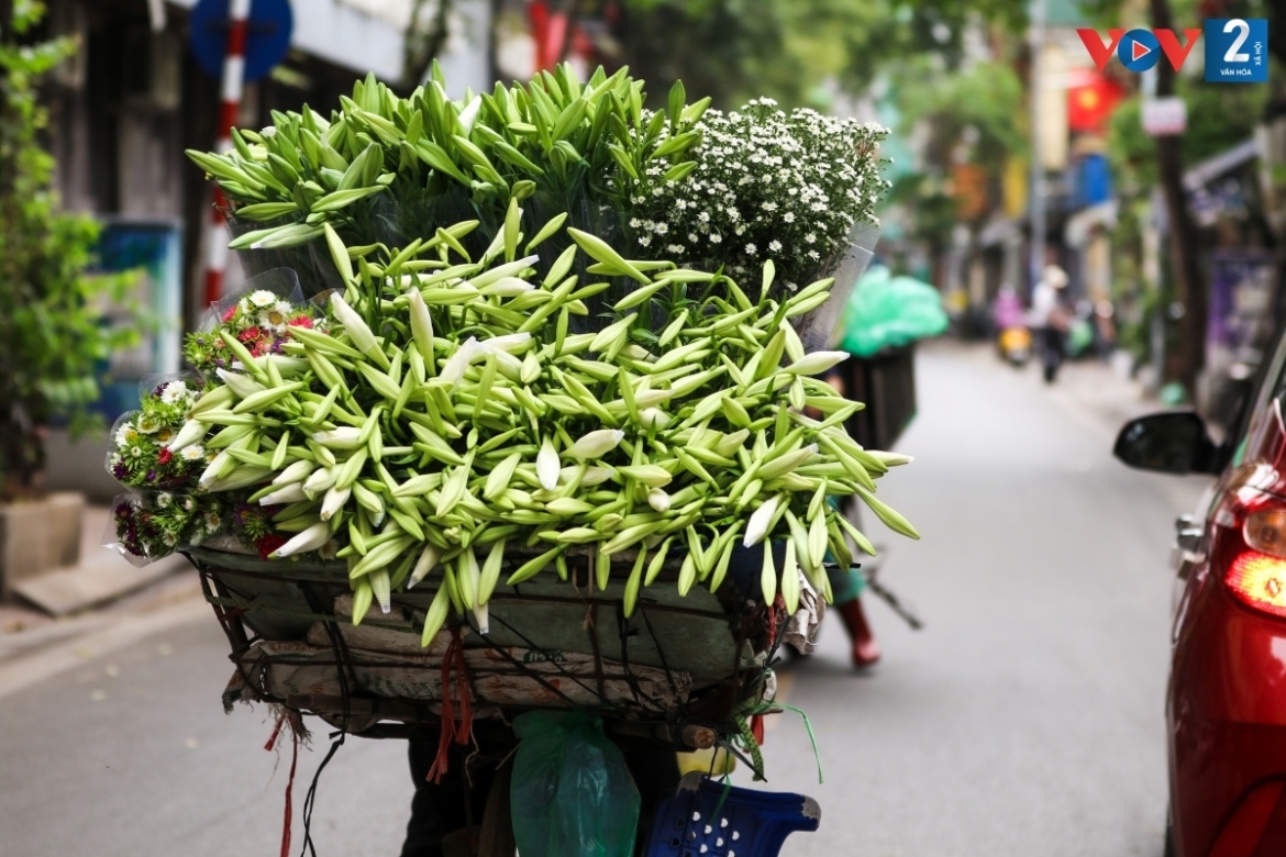 The capital in April seems to become more romantic and appealing thanks to the mobile white lily flower shops.