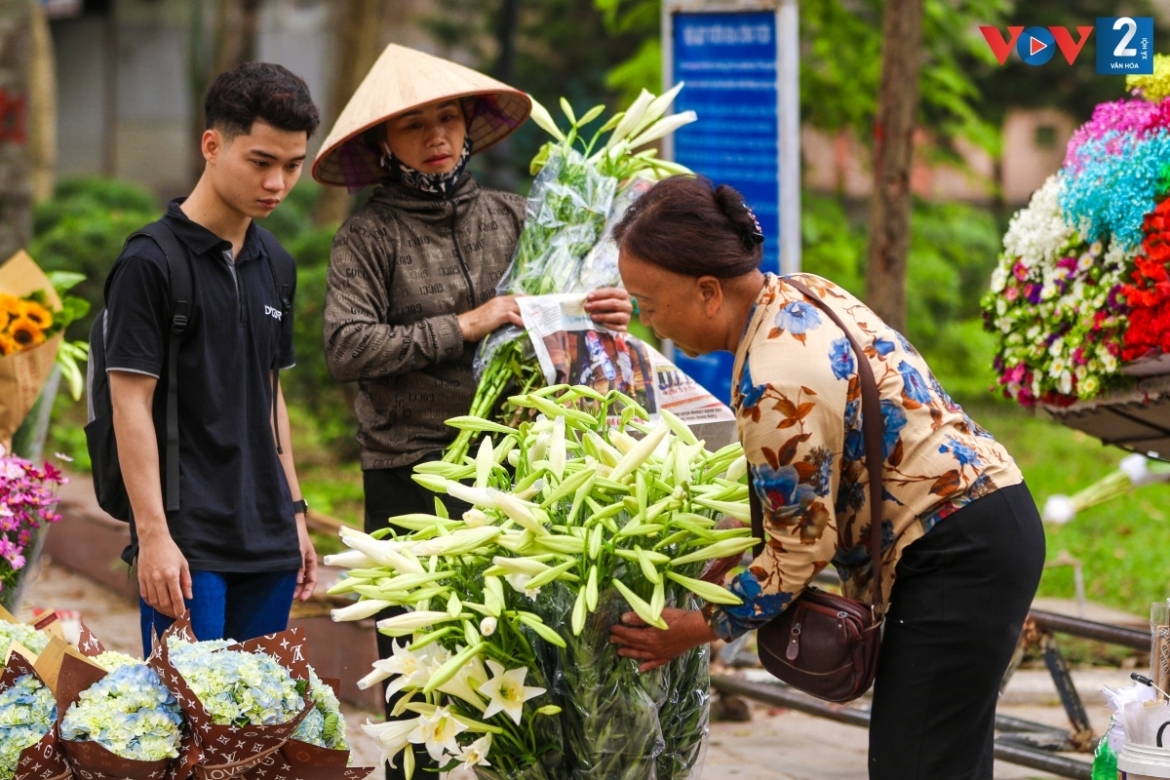 Considered the “flower of April”, white lilies are mostly grown in the flower villages of Nhat Tan, Tay Tuu, Dong Anh, and Dan Phuong.