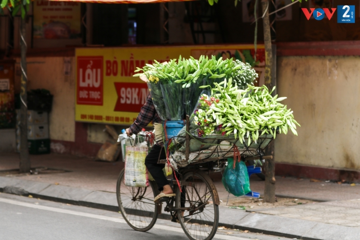 Old bicycles laden with a variety of blooming flowers can be seen as a piece of the colourful mosaic of life on Hanoi’s street.
