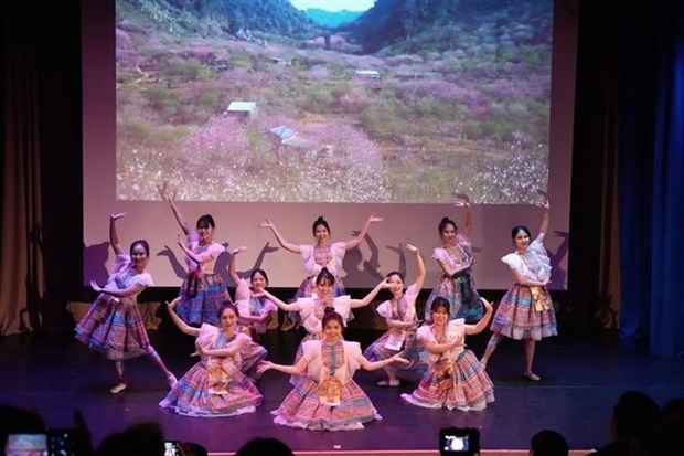 An art performance within the Vietnam Week in Russia.