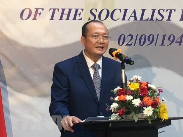 Vietnamese Ambassador to Egypt Nguyen Huy Dung (Photo: VNA)