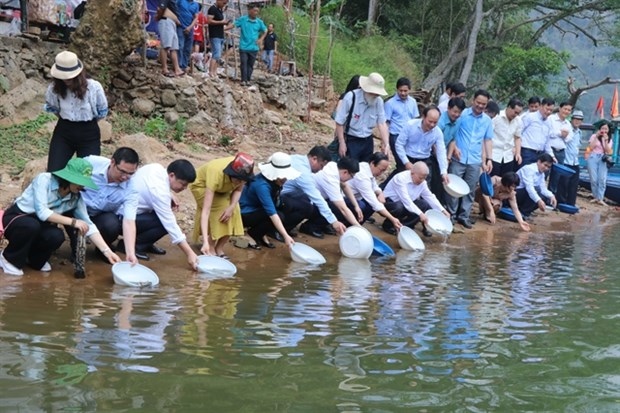 In response to the International Day for Biodiversity, people release 1,500 small fish at the Ba Be Lake in Bac Kan province