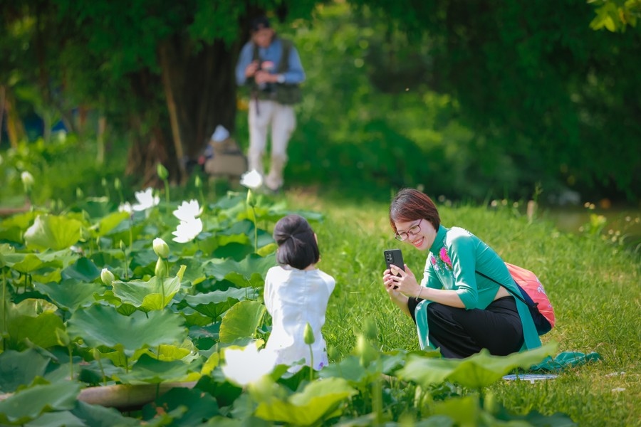 Each day the site attracts between 50 and 200 arrivals, with visitors keen on snapping wonderful pictures alongside the picturesque flowers.