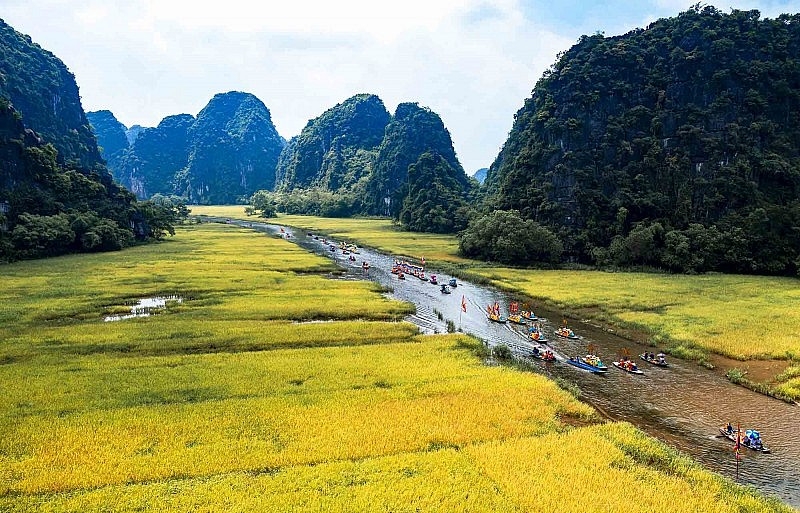 Visitors can take a boat tour to savour scenic views of paddy fields in Tam Coc-Bich Dong
