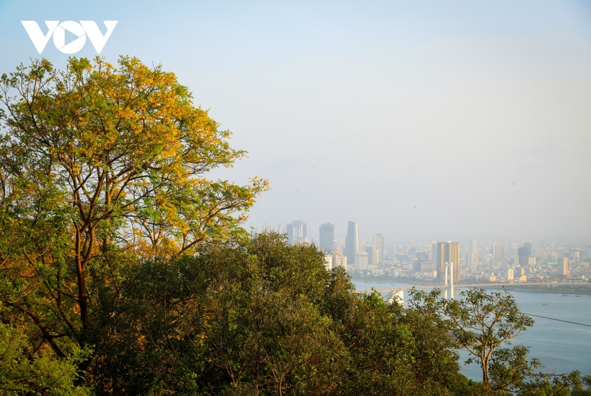 Son Tra peninsula represents an ideal place in which to snap photos for many professional and amateur photographers.