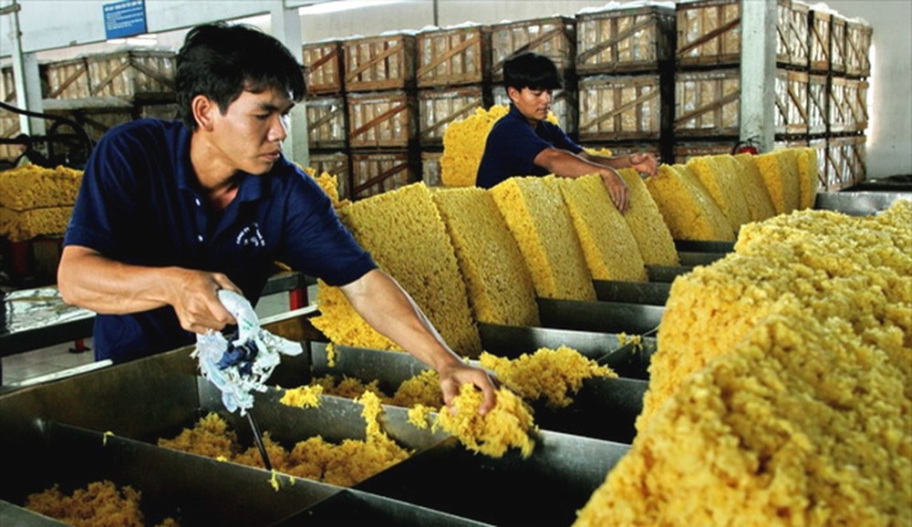 Vietnam becomes the fourth largest rubber supplier of RoK (Photo: Internet)