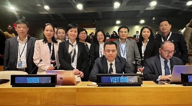 Ambassador Dang Hoang Giang (front, left) and  the Vietnamese delegation at the Intergovernmental Conference on Marine Biodiversity of Areas beyond National Jurisdiction in New York (Photo: VNA)