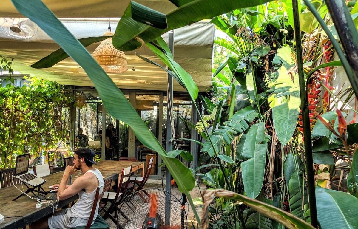 A foreigner work remotely in a café in Hoi An City (Photo: VNA)