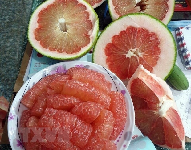 Phuoc Binh pomelo is eligible for export to enter the US market (Photo: VNA)