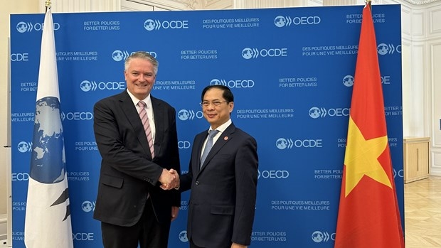 Vietnamese Minister of Foreign Affairs Bui Thanh Son (R) and Secretary-General of the Organisation for Economic Co-operation and Development (OECD) Mathias Cormann. (Photo: VNA)