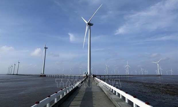 Some of the 62 turbines of the Bac Lieu wind power plant in Bac Lieu province