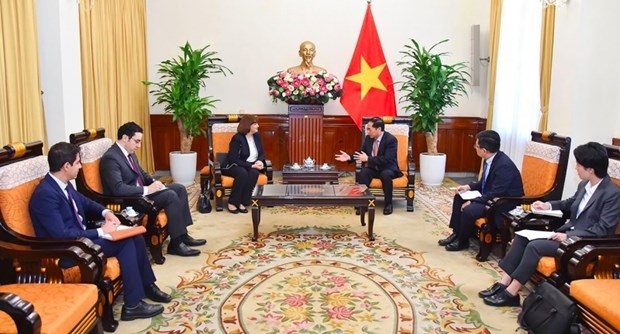 Foreign Minister Bui Thanh Son receives Egyptian Ambassador to Vietnam Amal Abdel Kader Elmorsi Salama in Hanoi on July 7. (Photo: VNA)