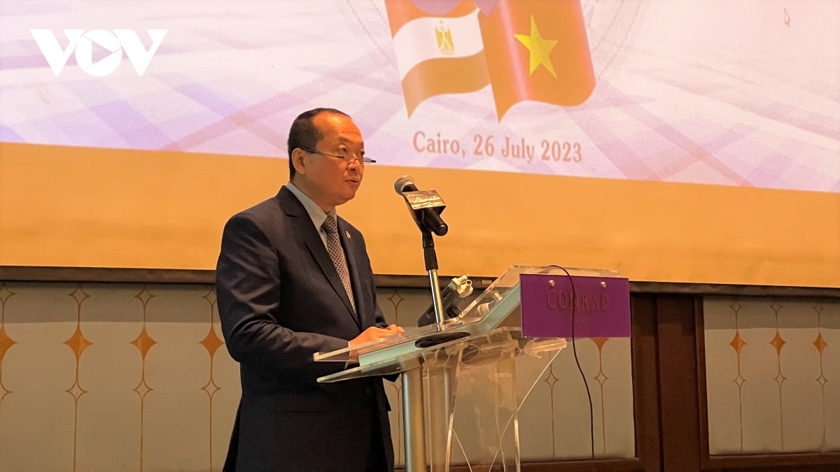 Vietnamese Ambassador to Egypt Nguyen Huy Dung addresses the ceremony marking 60 years of diplomacy between Vietnam and Egypt, held in Cairo on July 26.