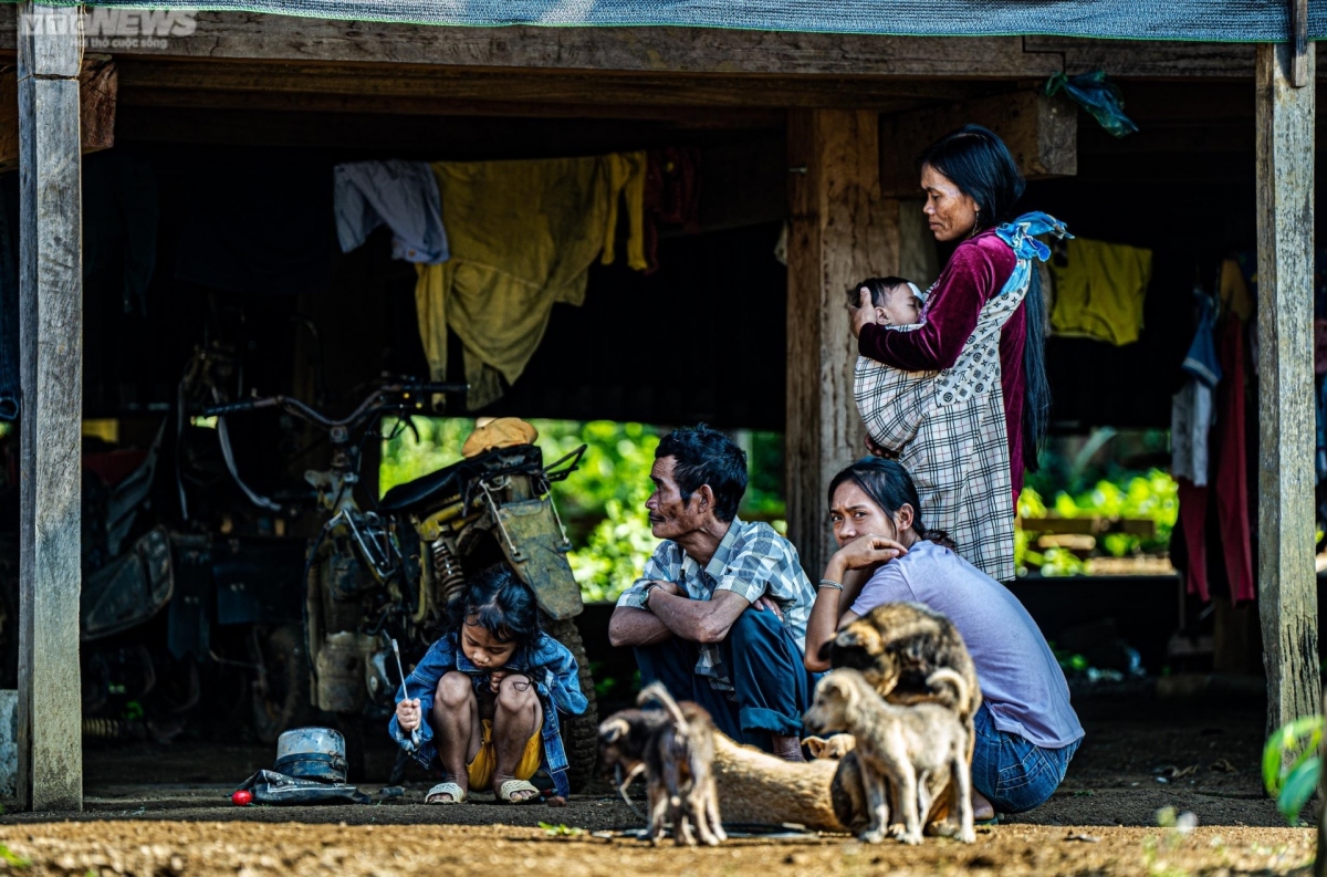 An Lao district accommodates 31,000 people and is home to three distinct ethnic groups - the Bana, the H'Re, and the Kinh. The residential areas of these communities feature traditional stilt houses, providing visitors with a glimpse into their way of life.