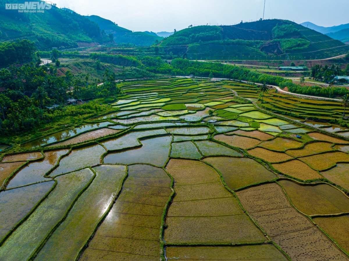 When viewed from above, the rice fields of An Lao district boast a distinctly beautiful shape.
