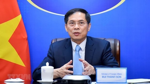 Foreign Minister Bui Thanh Son. (Photo: VNA)