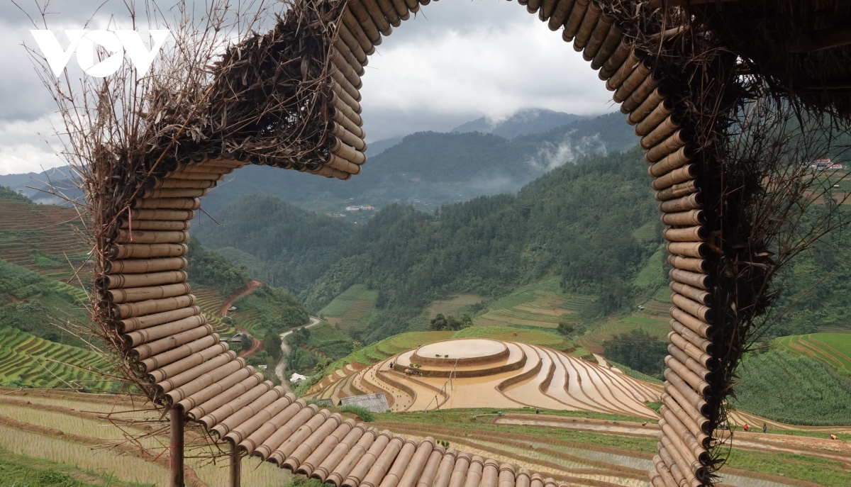 Local rice paddies have become popular check-in destinations for visitors heading to the area.