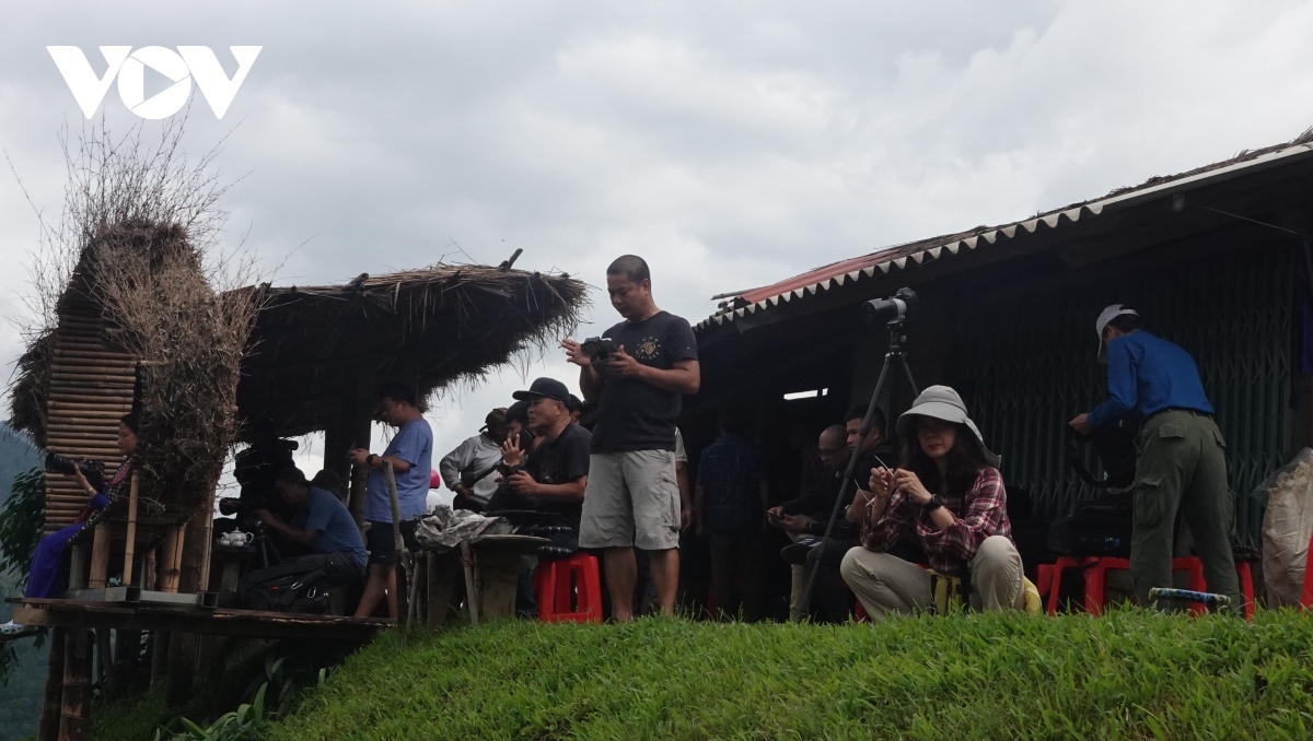 The place attracts plenty of local photographers.