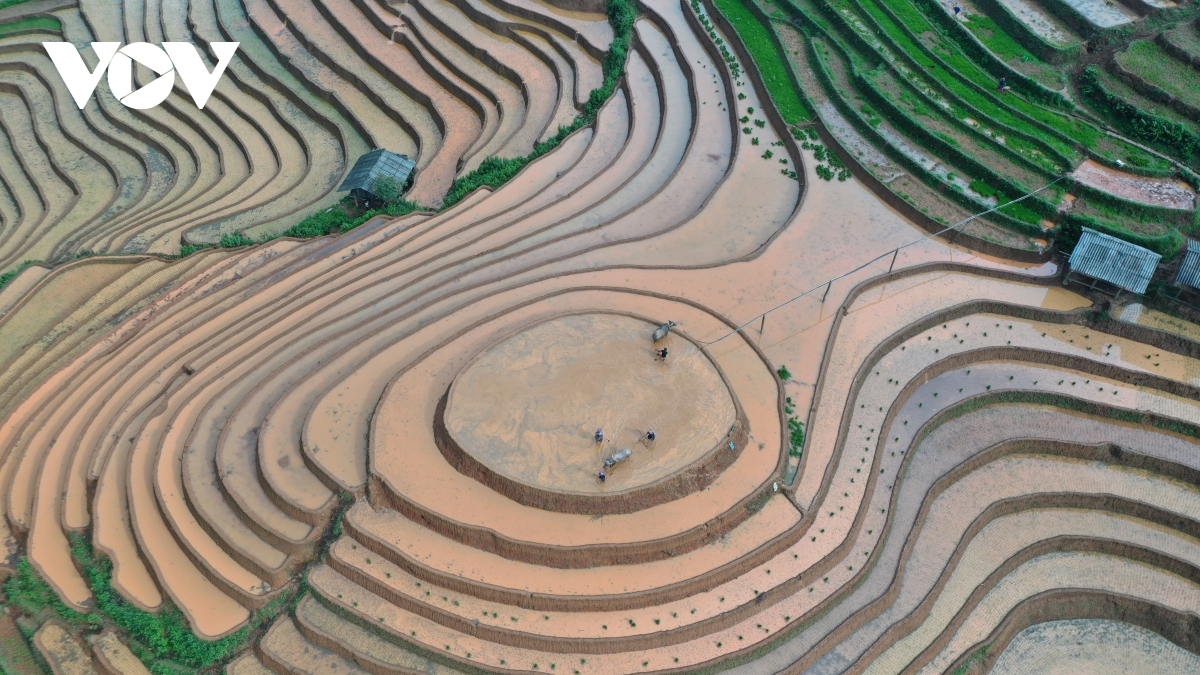 There are currently two main routes leading towards Mu Cang Chai. If tourists travel by coach or car, then they take the Noi Bai – Lao Cai highway and exit at Vinh Phuc, Phu Tho, and Nghia Lo town. After that, they continue along Highway 32 to reach Mu Cang Chai.