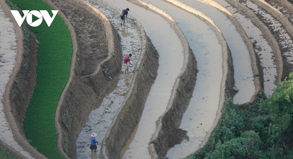 Farmers are busy preparing a new crop ahead of the harvest season.