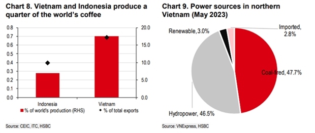 Vietnam and Indonesia supply 25% of the world’s coffee. (Source: HSBC graphic)