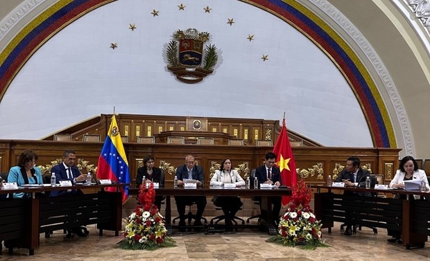 The working session between the delegation of the Vietnamese National Assembly Council for Ethnic Affairs and the Venezuelan Ministry of Indigenous Peoples. (Photo: VNA)