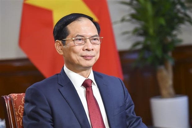 Foreign Minister Bui Thanh Son (Photo: VNA)