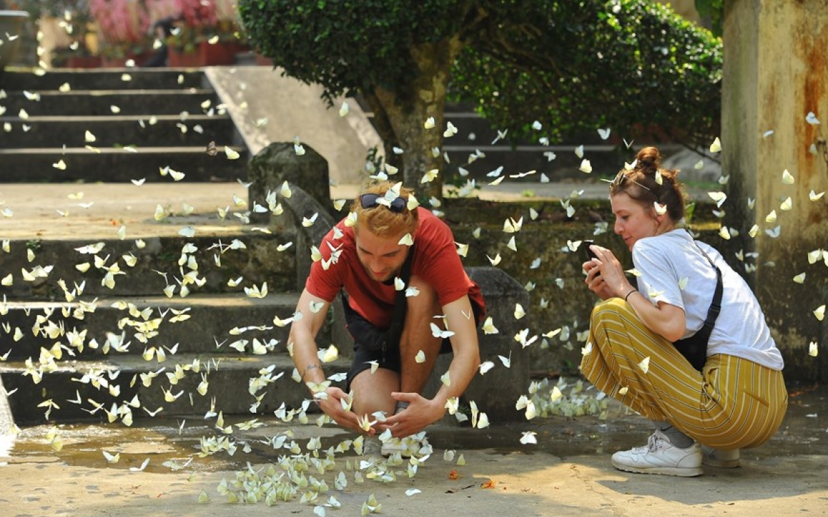 Cuc Phuong National Park boasts about 2,000 plant species and 2,600 animal species. (Photo: Internet)