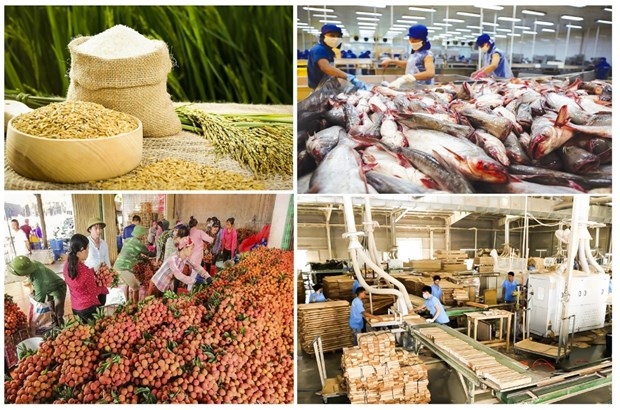 Agro-forestry-aquatic product exports rake in US$29.13 billion in the first seven months of 2023. (Photo: vneconomy.vn)