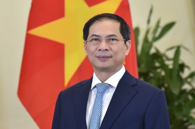 Foreign Minister Bui Thanh Son (Photo: VNA)