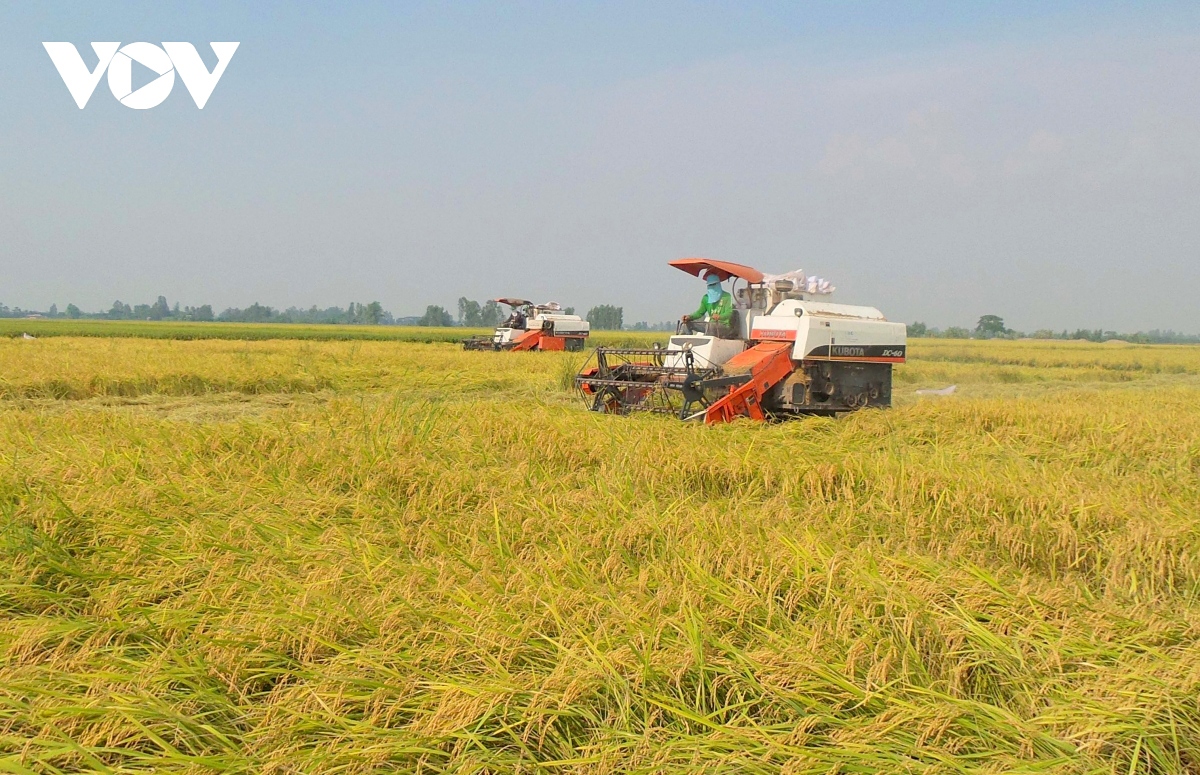 Rice production has been mechanized in Vietnam over the years to increase productivity.