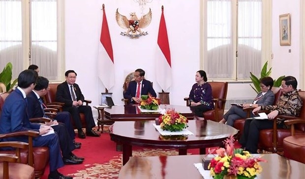 NA Chairman Vuong Dinh Hue (fifth, right) in a meeting with Indonesian President Joko Widodo (Photo: VNA) 