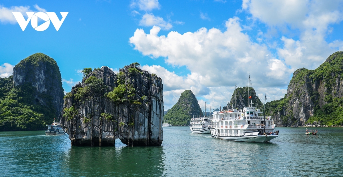 Popular destinations in Ha Long Bay include Trong Mai, Dinh Huong, Ti Top, Soi Sim, and Bo Hon islands. The most unique features of the bay are more than 60 stunning caves, such as Sung Sot, Thien Cung, Dau Go, Bo Nau, and Trinh Nu