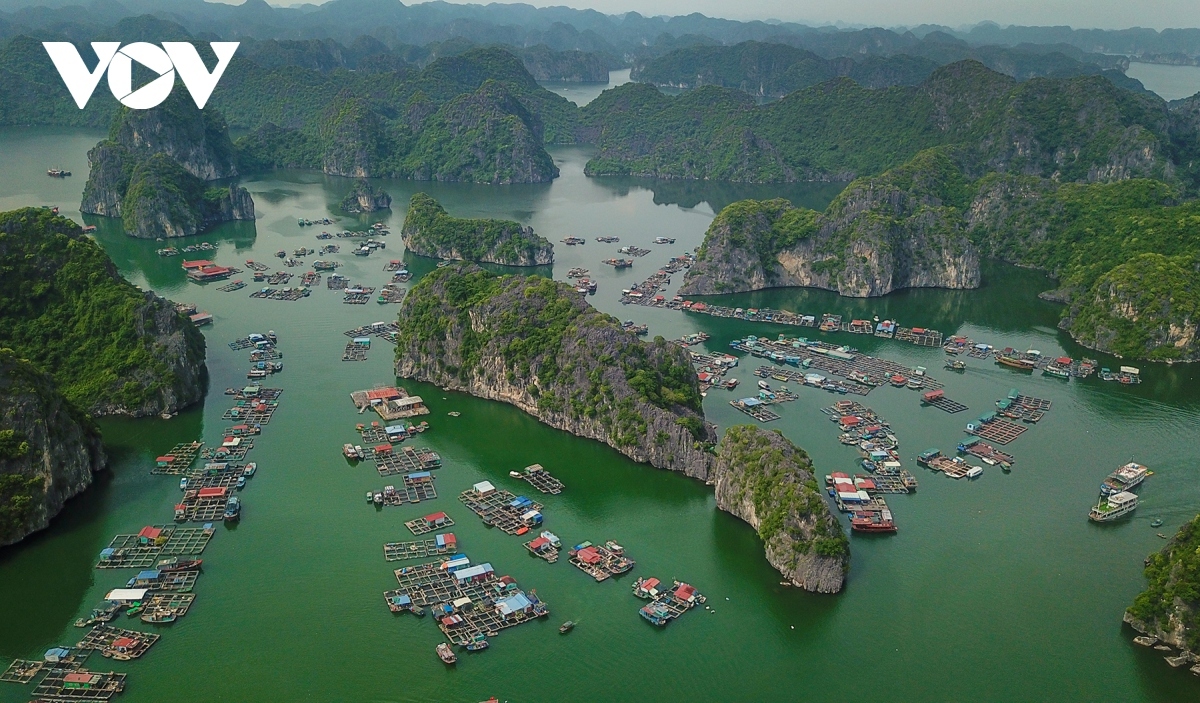. The Ha Long Bay - Cat Ba archipelago possesses 1,133 limestone islands which come in various shapes and sizes. These rocky islands are covered full of lush vegetation.