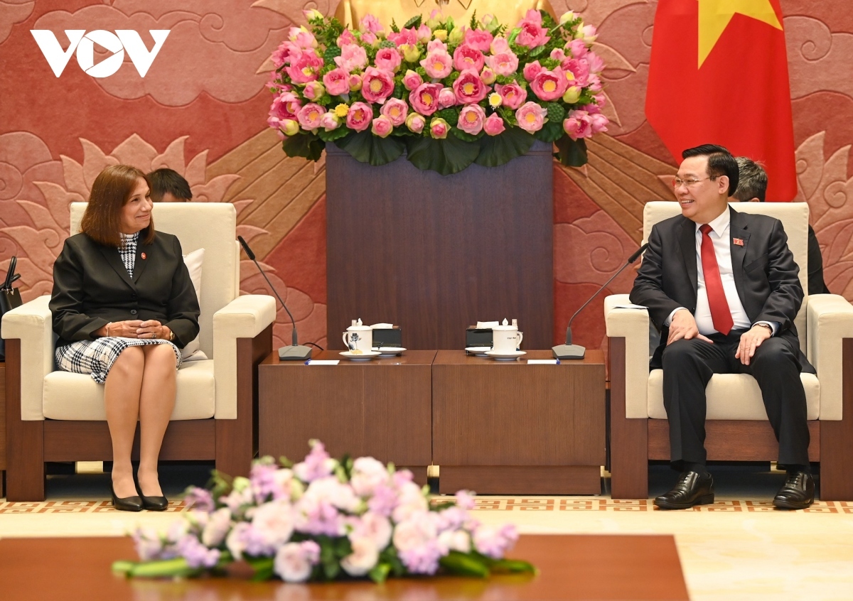 NA Chairman Vuong Dinh Hue (R) hosts Vice President of the Cuban NA Ana Maria Machado.