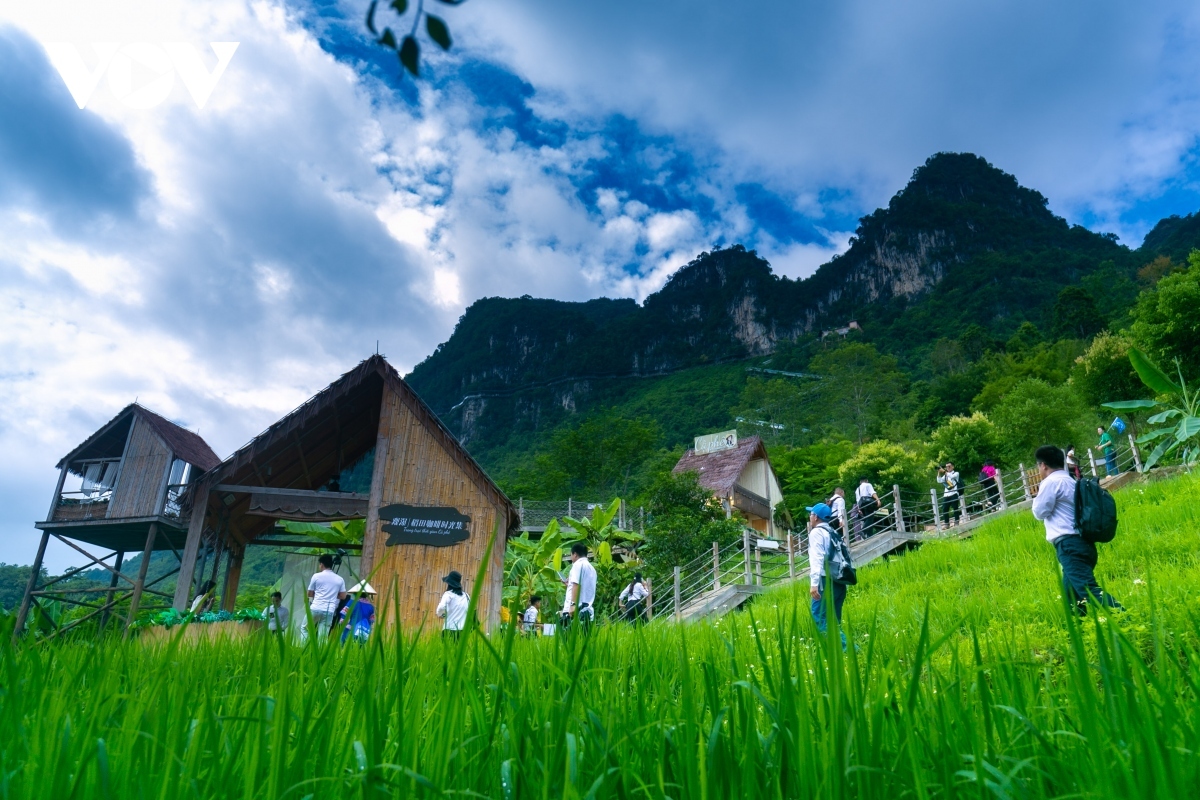 A beautiful scene at the resting area of Detian waterfall.