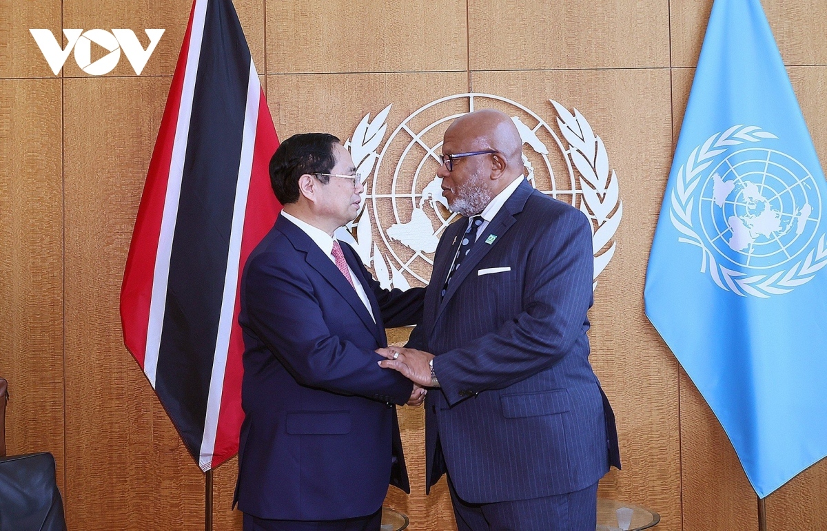 Prime Minister Pham Minh Chinh meets with President of the 78th UN General Assembly (UNGA 78) Dennis Francis