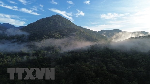 Ecotourism holds the potential to create revenue for forest reserves and promote biodiversity conservation efforts, while also providing a source of income for local communities.