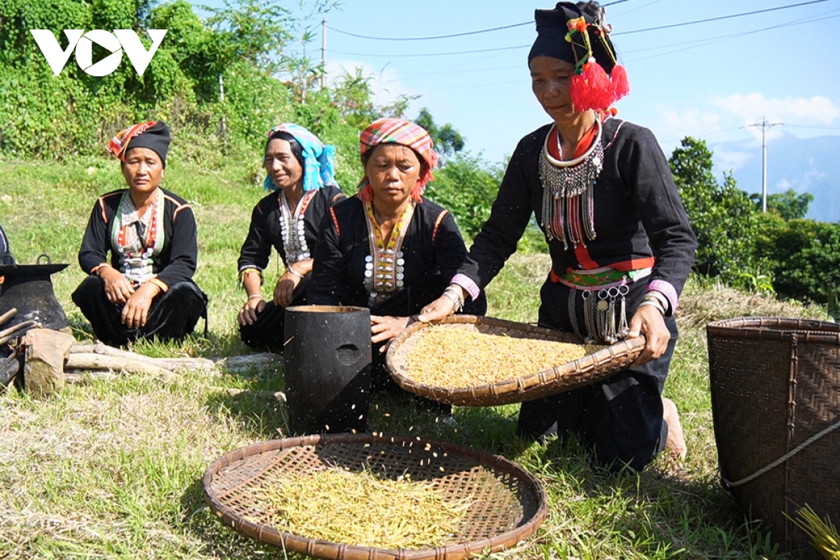 Making green rice is part of the festival.