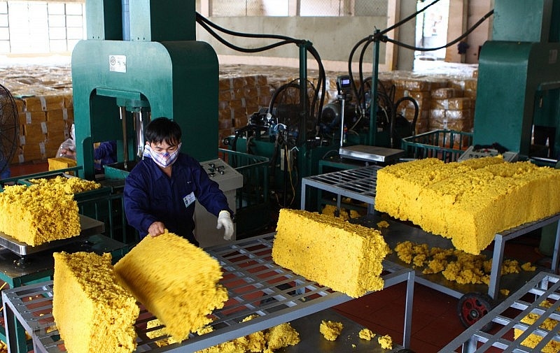 Vietnam is among largest rubber suppliers to Japan (Photo: congthuong.vn)