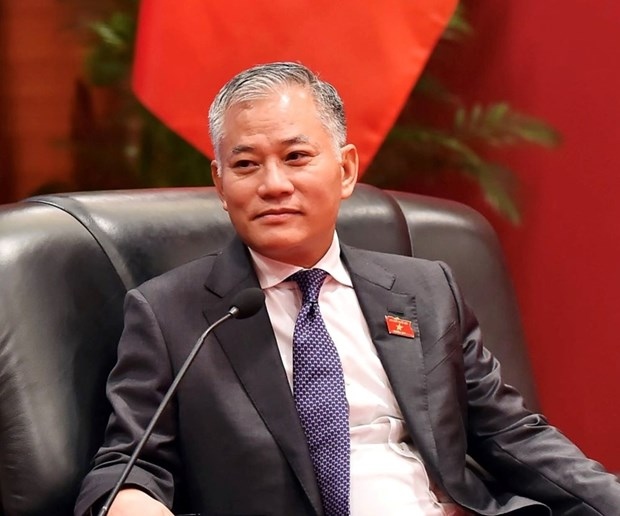 Vice Chairman of the National Assembly's Committee for Foreign Affairs Don Tuan Phong. (Photo: VNA)