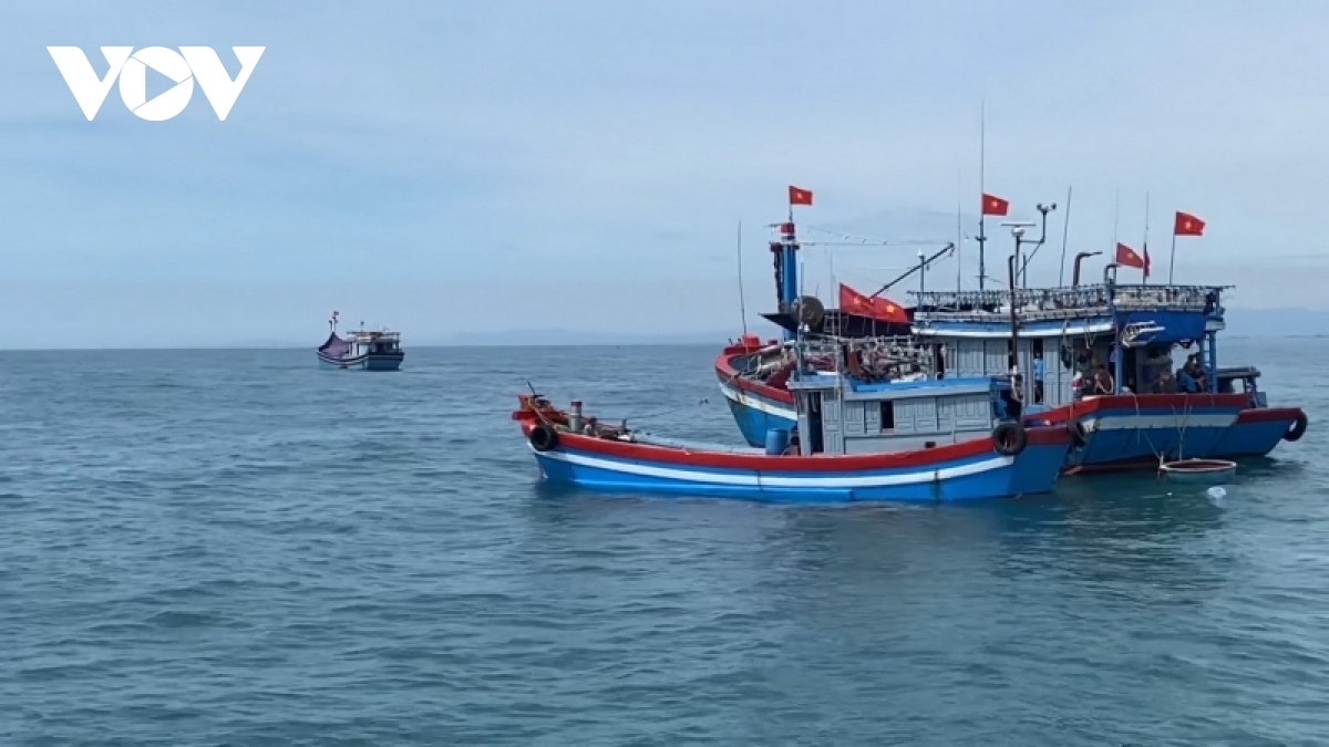 Vietnam has affirmed its strong resolve to combat IUU fishing towards harmonizing international regulations and sustainable development of the country’s fishing industry.