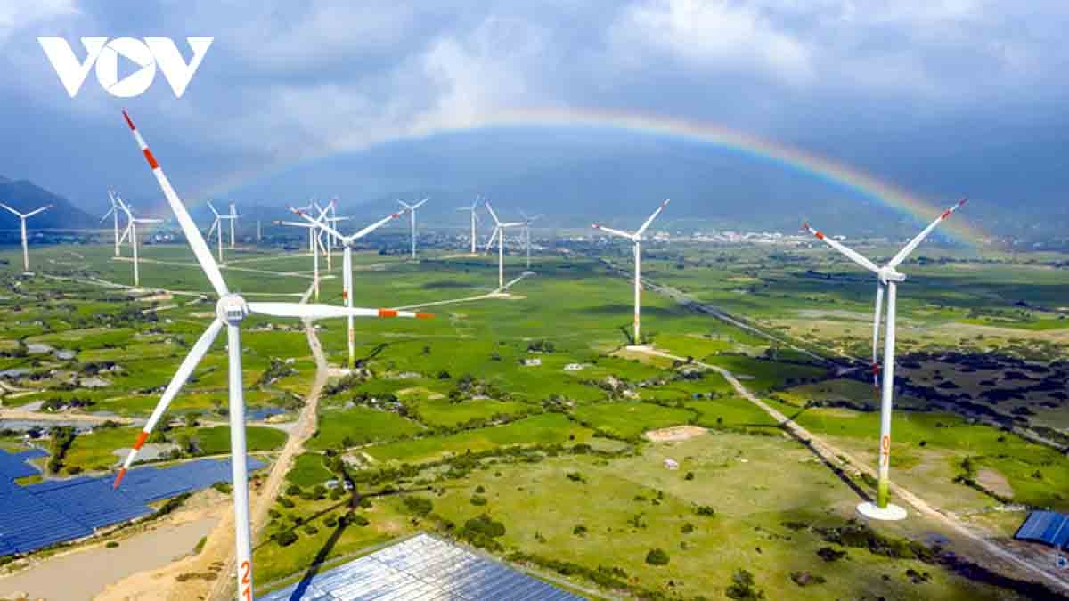 Vietnam has favourable conditions to develop wind farms, especially in coastal localities.