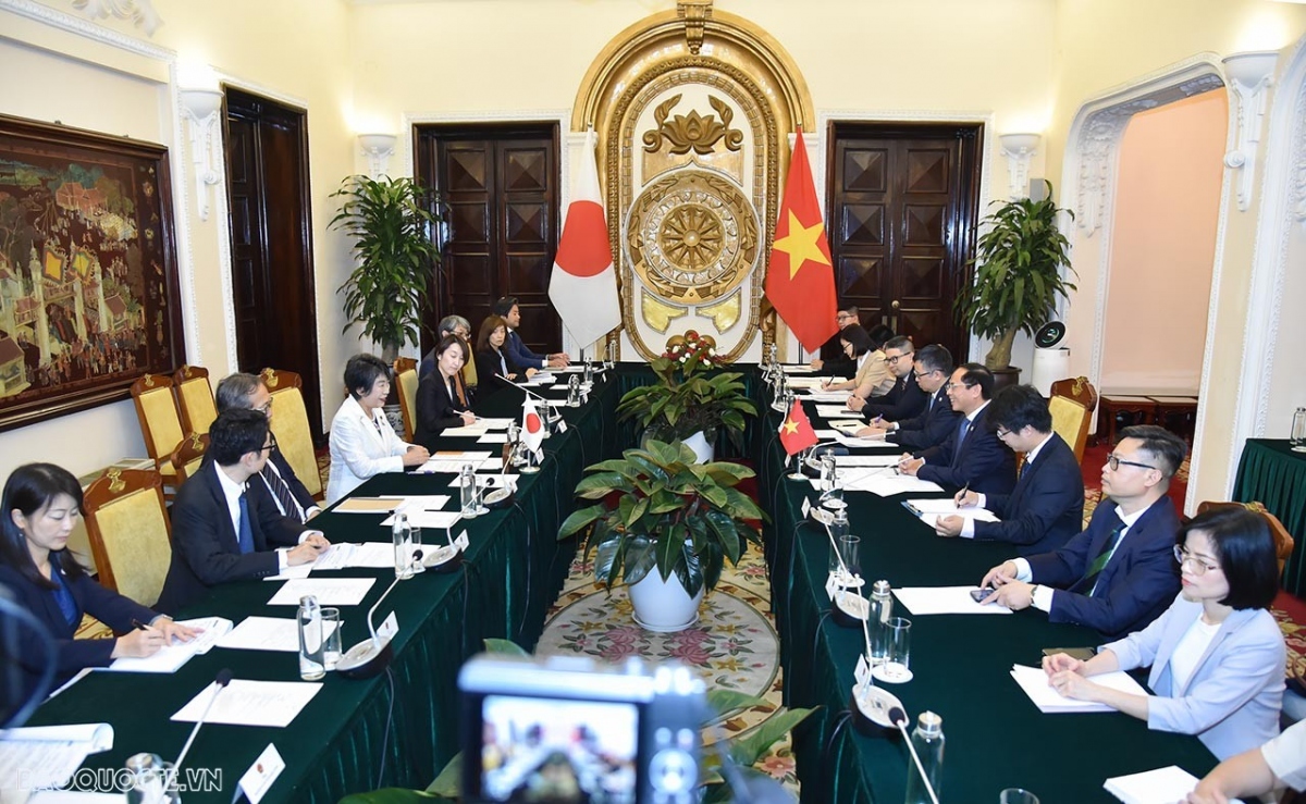 Vietnamese Foreign Minister Bui Thanh Son and Japanese Foreign Minister Yoko Kamikawa hold talks in Hanoi on October 10. (Photo: baoquocte.vn)