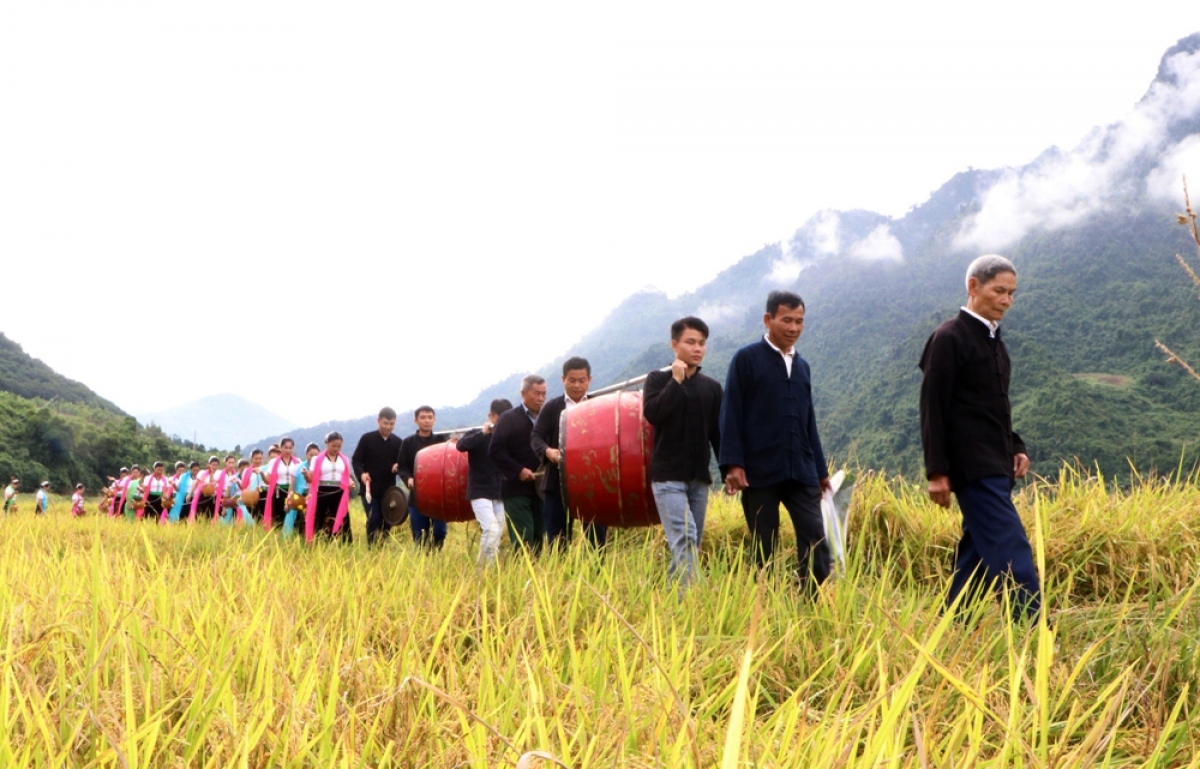 The festival is held annually between late autumn and early winter.