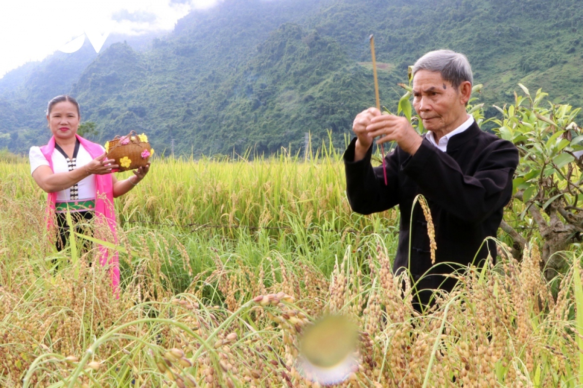This year sees the festival held at Muong So field in Phong Tho district, the largest rice granary in the locality.